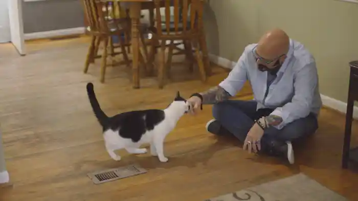 猫ヘルパー シーズン9~猫のしつけ教えます~