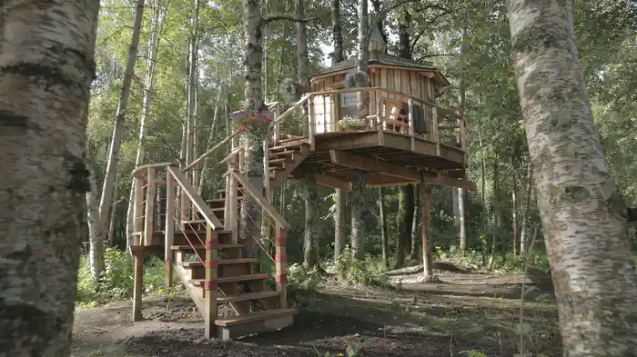 仰天！夢のツリーハウス シーズン7