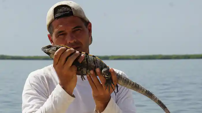 ワイルド！フランク メキシコ