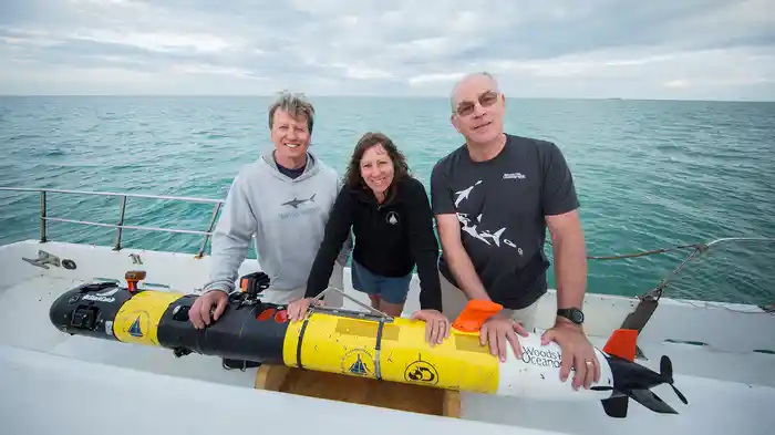 サメに密着！シャーク・カメラ