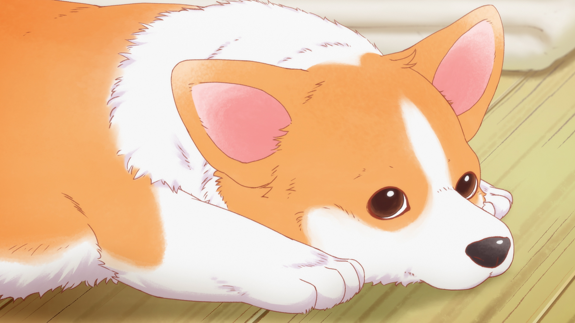 『殿と犬～もふもふ！～』 相葉雅紀 Ver.
