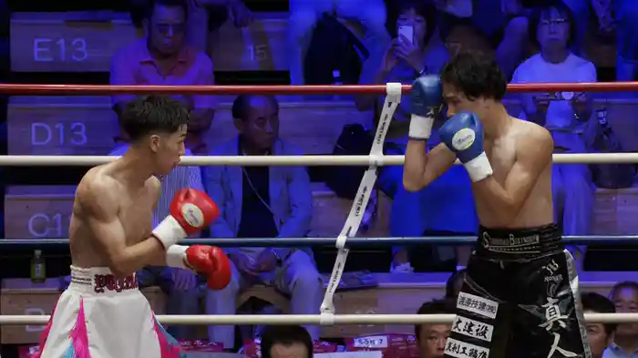 WHO’S NEXT DYNAMIC GLOVE BOXING vol.22