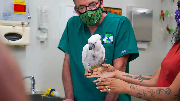 デンバー動物クリニック シーズン7