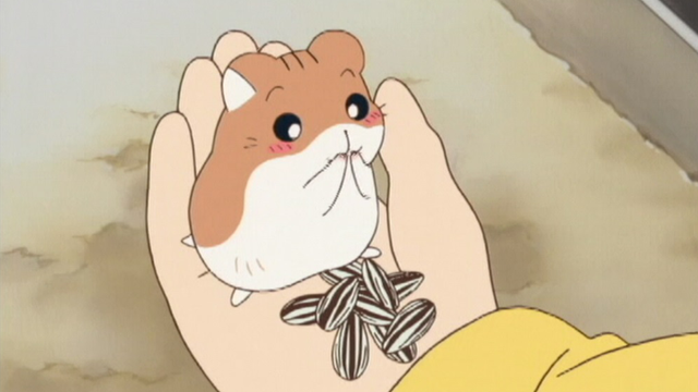 ハムスター倶楽部(アニメ / 2000) - 動画配信 | U-NEXT 31日間無料