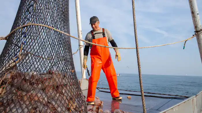 突撃!大人の職業体験 シーズン9