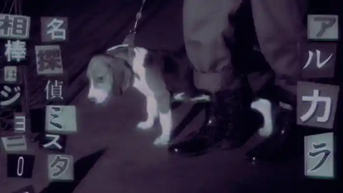 名探偵ミスタ相棒はジョニー