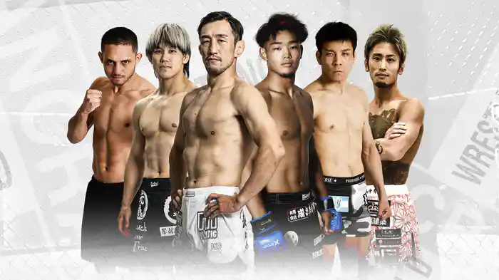 PANCRASE 348