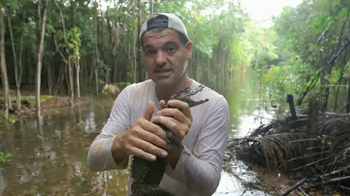 ワイルド！フランク ブラジル