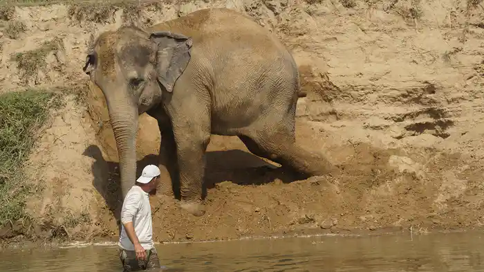 ワイルド！フランク インド