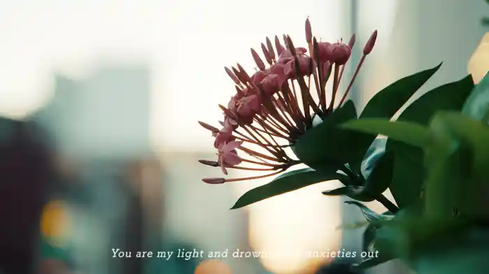 nothing to be afraid of -怖れるものは何もない-