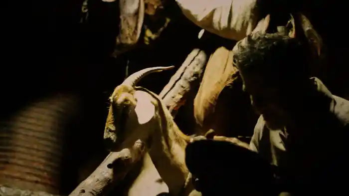 洞窟のプラトン