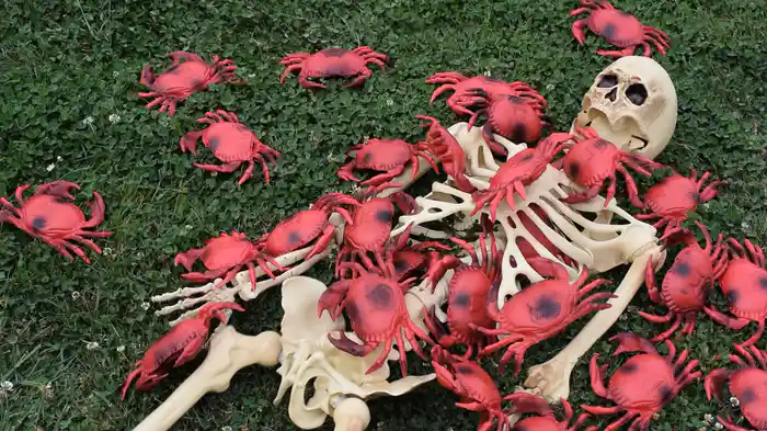 ええっ？キメたカニ