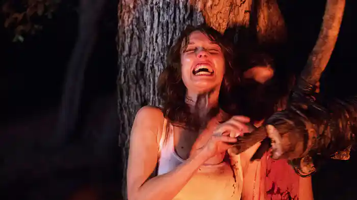 ラスト・サマー・ナイト