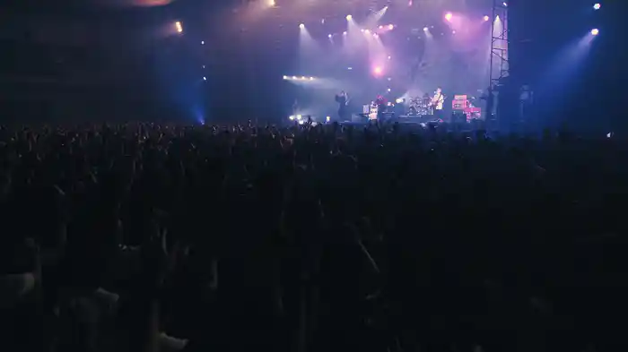 PLAYBACK (LIVE at 京都パルスプラザ 2024/10/6)
