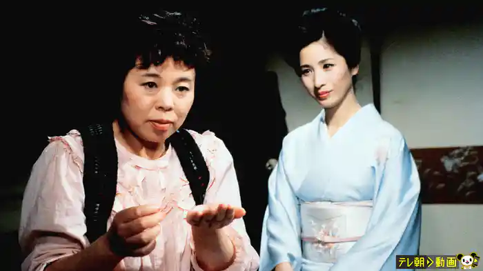 家政婦は見た! エリート家庭のあら探し 結婚スキャンダルの秘密