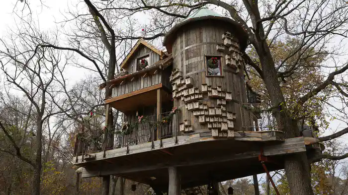 仰天！夢のツリーハウス シーズン4