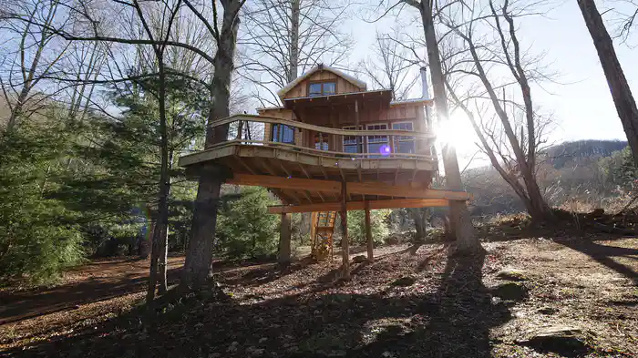 仰天！夢のツリーハウス シーズン5