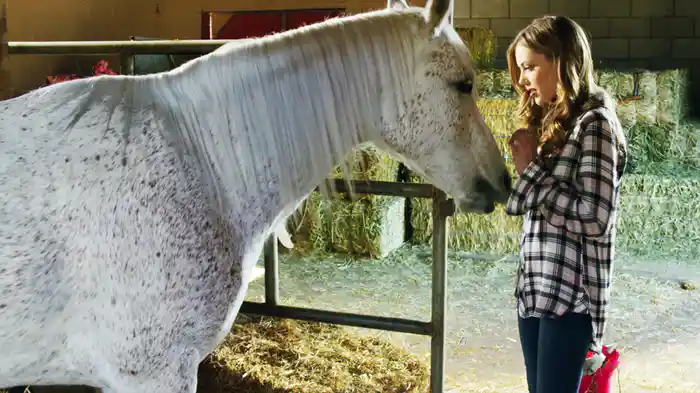 ビッグ・ミラクル 奇跡の馬と家族の物語