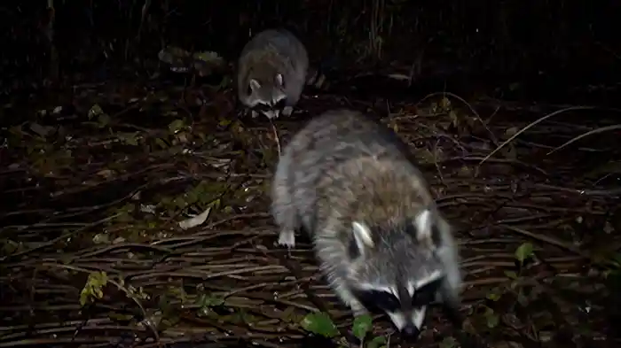 福島 生きものの記録シリーズ３～拡散～
