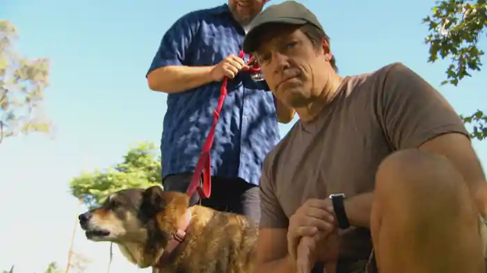 好奇心の扉：人体の秘密の生態系