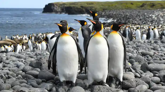 生命の躍動~太陽をめぐる地球の一年~
