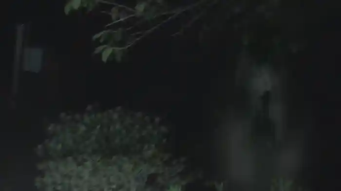 怨霊映像　哀篇