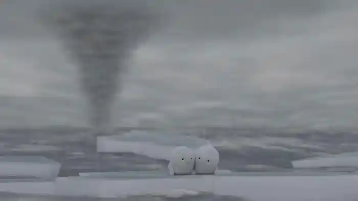 あざらしのえるあーる