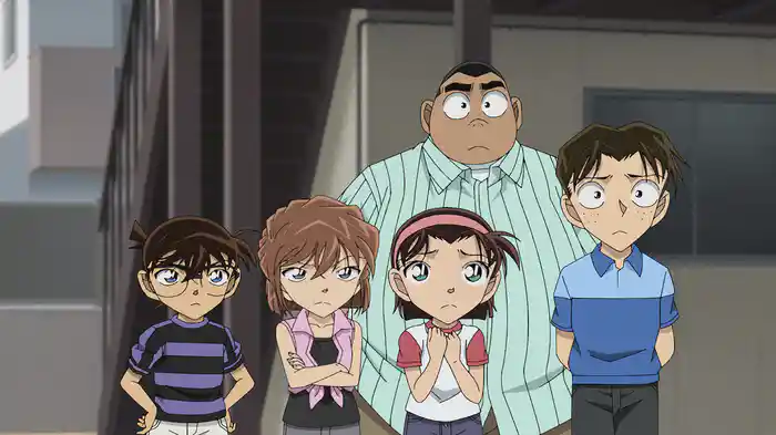 名探偵コナン 【第29シーズン】