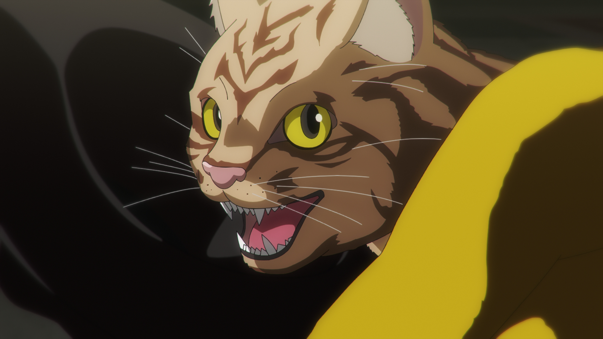 ニャイト・オブ・ザ・リビングキャット