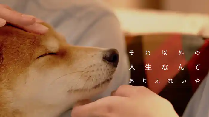 それ以外の人生なんてありえないや