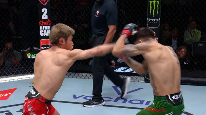 アレックス・ペレス vs. 平良達郎