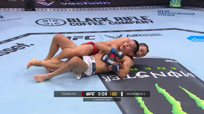 鶴屋怜 vs. カルロス・ヘルナンデス