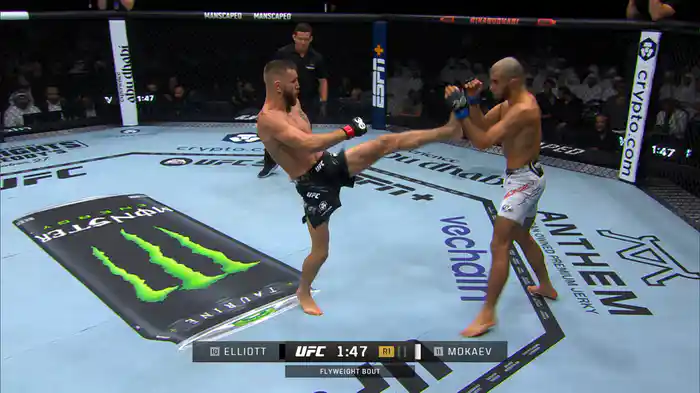 ティム・エリオット vs. ムハンマド・モカエフ