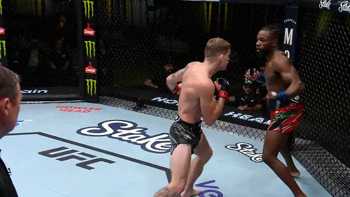 マネル・ケイプ vs. ダビッド・ドボジャーク