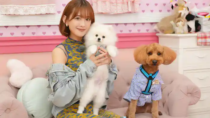 希島さん出番ですよ!