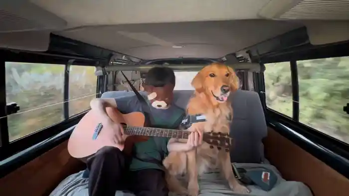 ゴールデンレトリバー