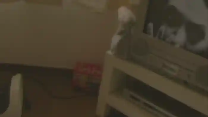 謎怖86　謎に混乱し更に怖い心霊映像