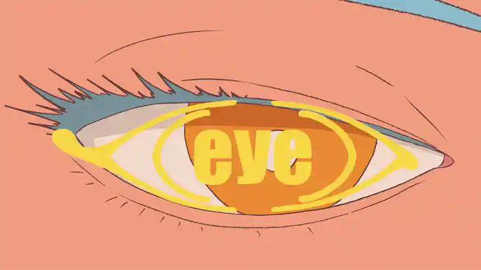 eye