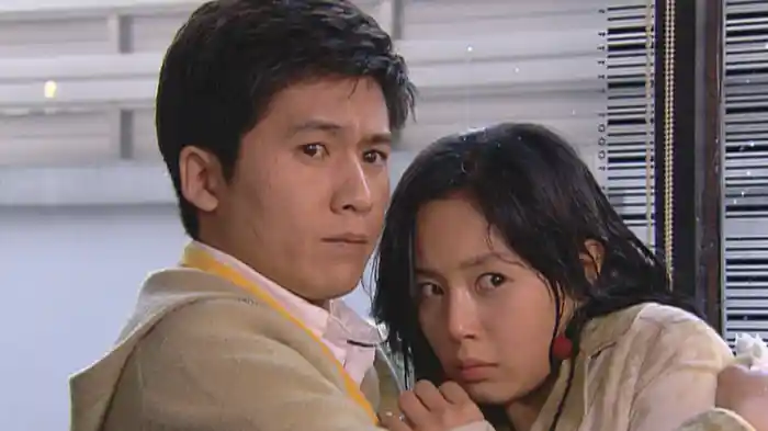 愛は誰にも止められない