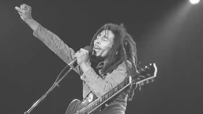 Bob Marley & The Wailers - Live In Concert