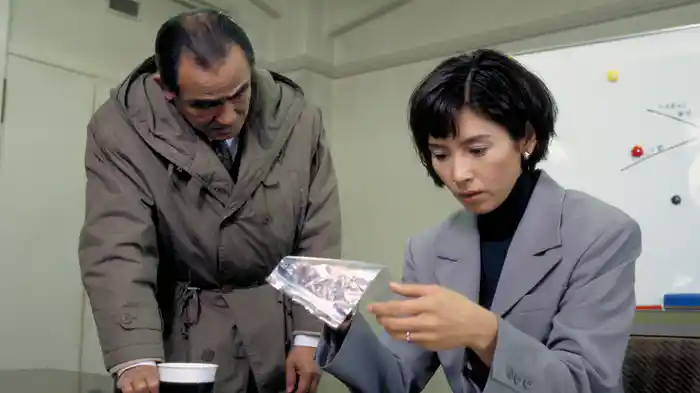 火曜サスペンス劇場 殺人迷路