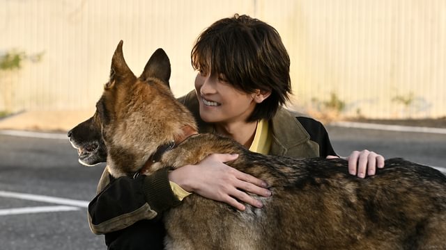 少年と犬(邦画 / 2024) - 動画配信 | U-NEXT 31日間無料トライアル