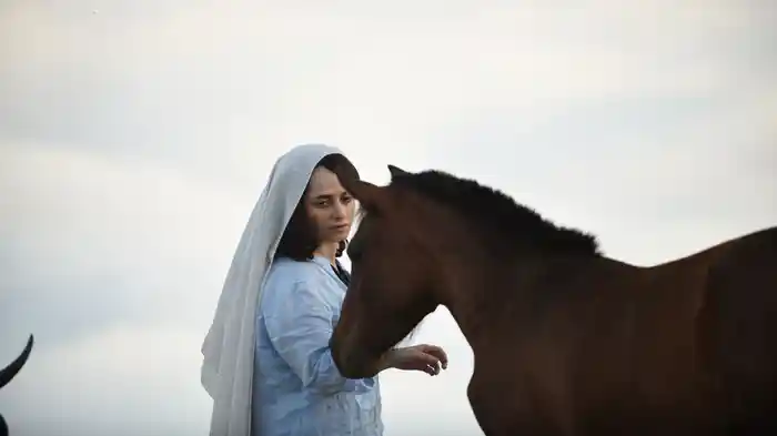 蝶になる夢を見た馬のいななき