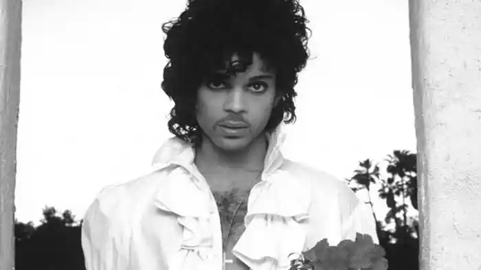 プリンス：ヴィデオ・キルド・ザ・ラジオ・スター