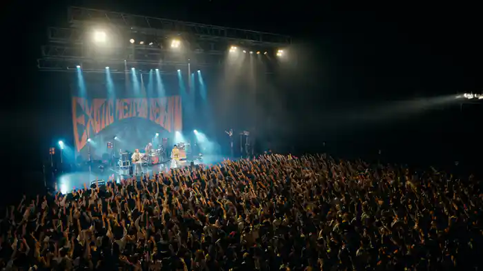 DINDON (Live at Zepp HANEDA 2024.12.04)