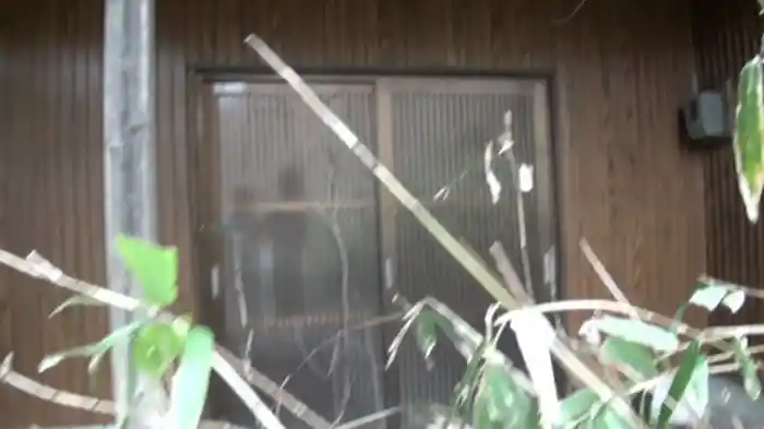 謎怖89 謎に混乱し更に怖い心霊映像