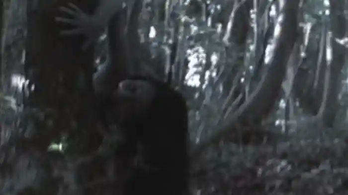 放送禁止 問題の心霊映像81