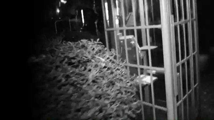 実録!!ほんとにあった恐怖の投稿映像 怪談 参