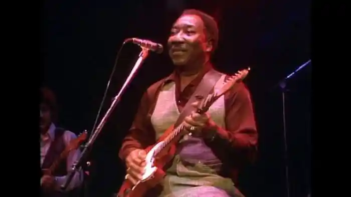 Muddy Waters' Blues Band - Live At Rockpalast: Live At Westfalenhalle Dortmund