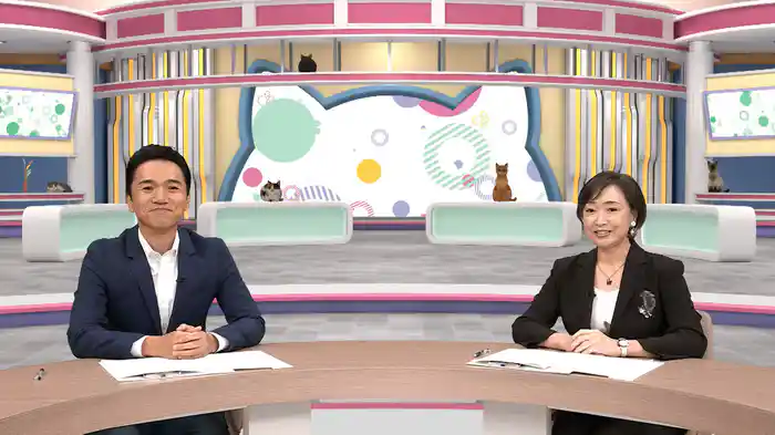 にゃなか放送局 ネコまちジャーナル